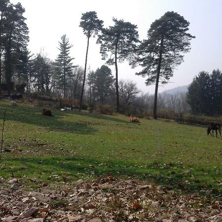Agriturismo Villa Brugolta Lavena Ponte Tresa Eksteriør bilde